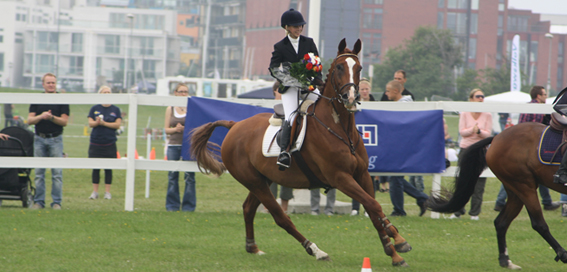 Elin Göransdotter Equestrian Banner
